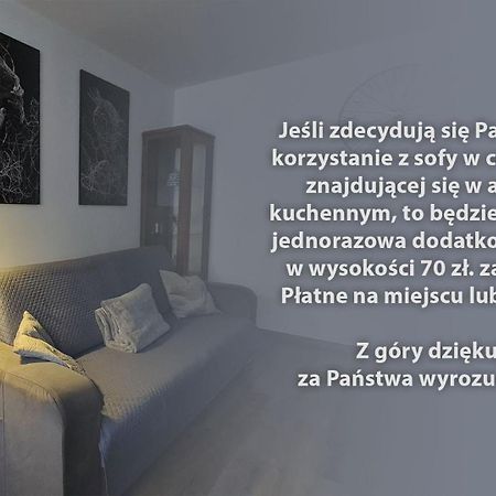 Spokojny Wypoczynek 5 Ostrów Wielkopolski Dış mekan fotoğraf