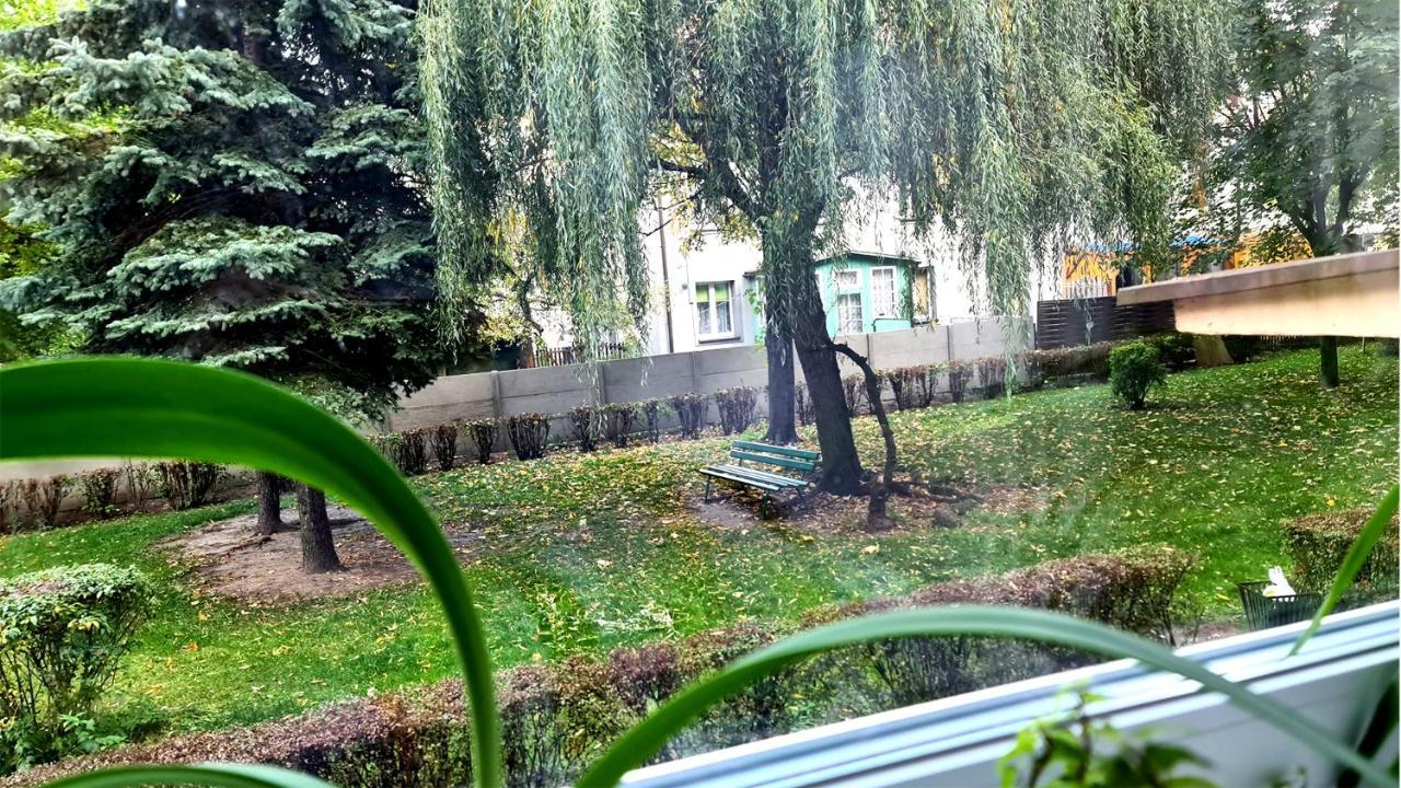 Spokojny Wypoczynek 5 Ostrów Wielkopolski Dış mekan fotoğraf